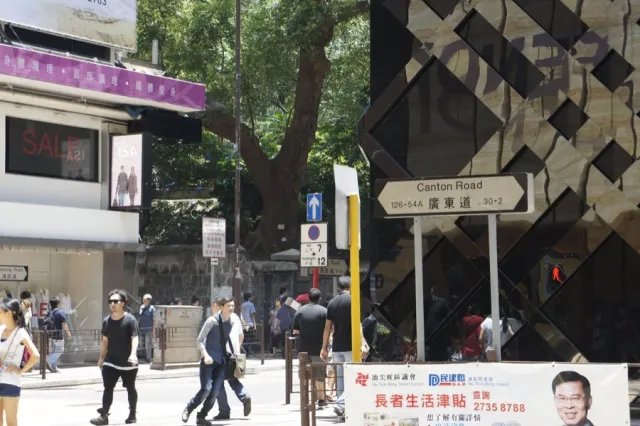 Hong Kong, Kowloon Park